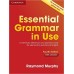 Essential Grammar in Use New Edition